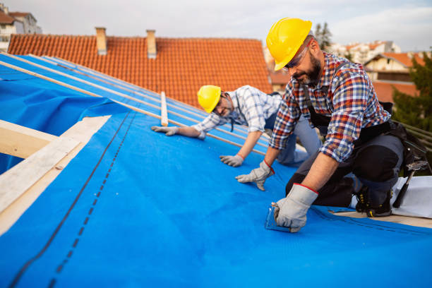 Best Storm Damage Roof Repair  in Franklin, KY