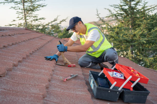 Best Shingle Roofing Installation  in Franklin, KY